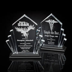 Flash Award - Acrylic Black Crystal House