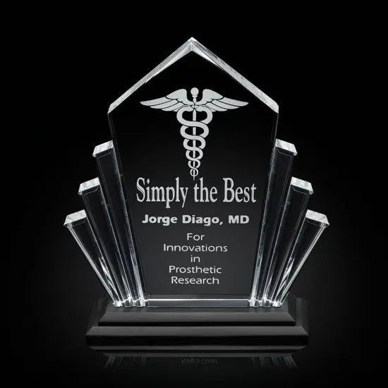 Flash Award - Acrylic Black Crystal House