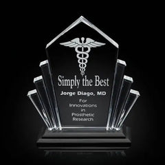 Flash Award - Acrylic Black Crystal House