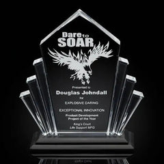 Flash Award - Acrylic Black Crystal House