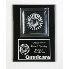 Fusion Plaque - Omnicare Crystal House