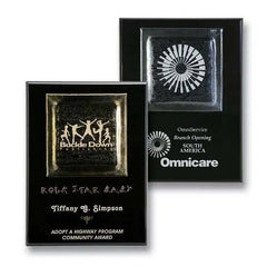 Fusion Plaque - Omnicare Crystal House