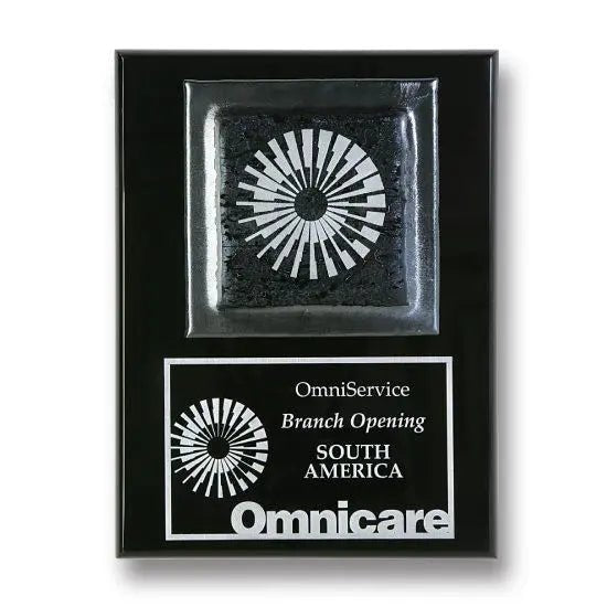 Fusion Plaque - Omnicare Crystal House