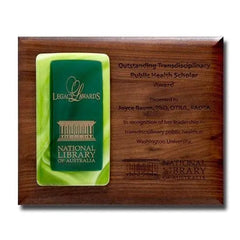 Fusion Plaque - Tourmaline Crystal House