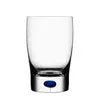 Intermezzo Blue Tumbler - Set of 2 Orrefors