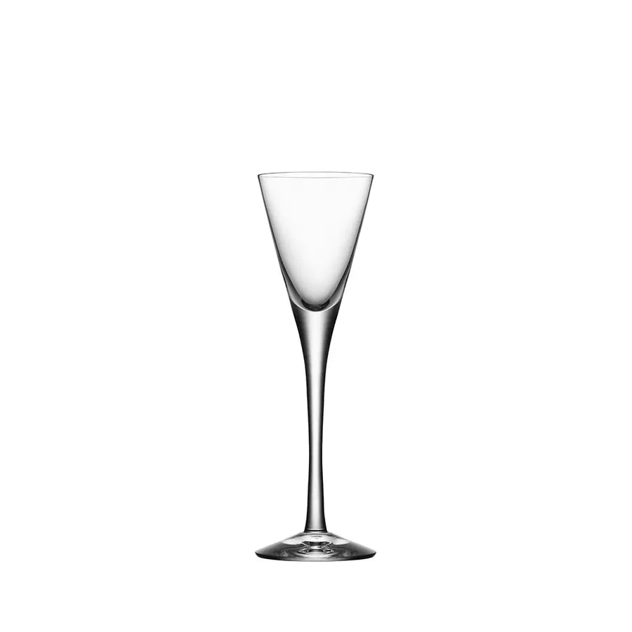 More Schnapps (set of 2) Orrefors