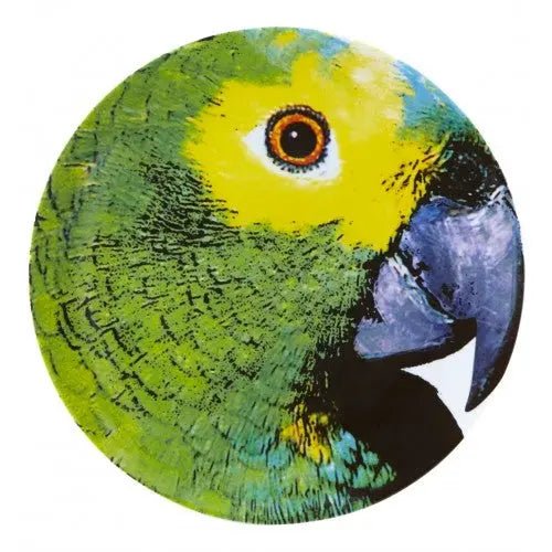 Olhar o Brasil Charger Plate Vista Alegre