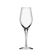 Sense Sparkling - Set of 6 Orrefors