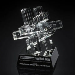 Teamwork Award - Optical Black Crystal House