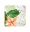 COASTERS - AMAZÅŒNIA SET 4 - Crystal House