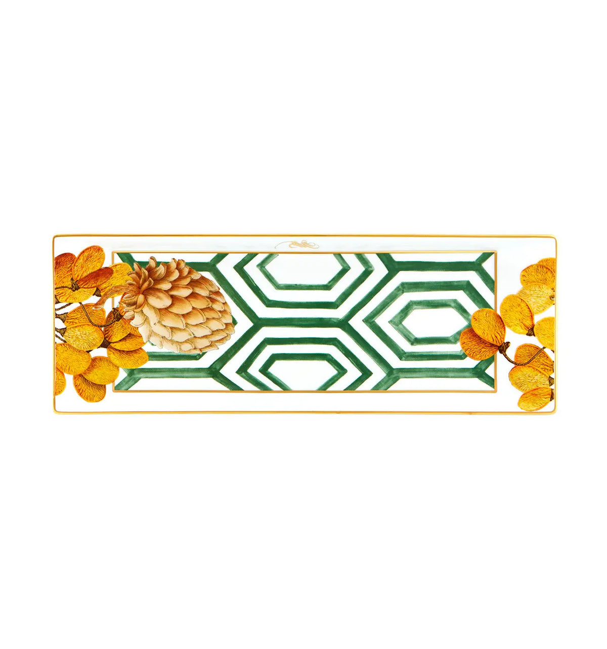 AMAZÅŒNIA Tray Vista Alegre