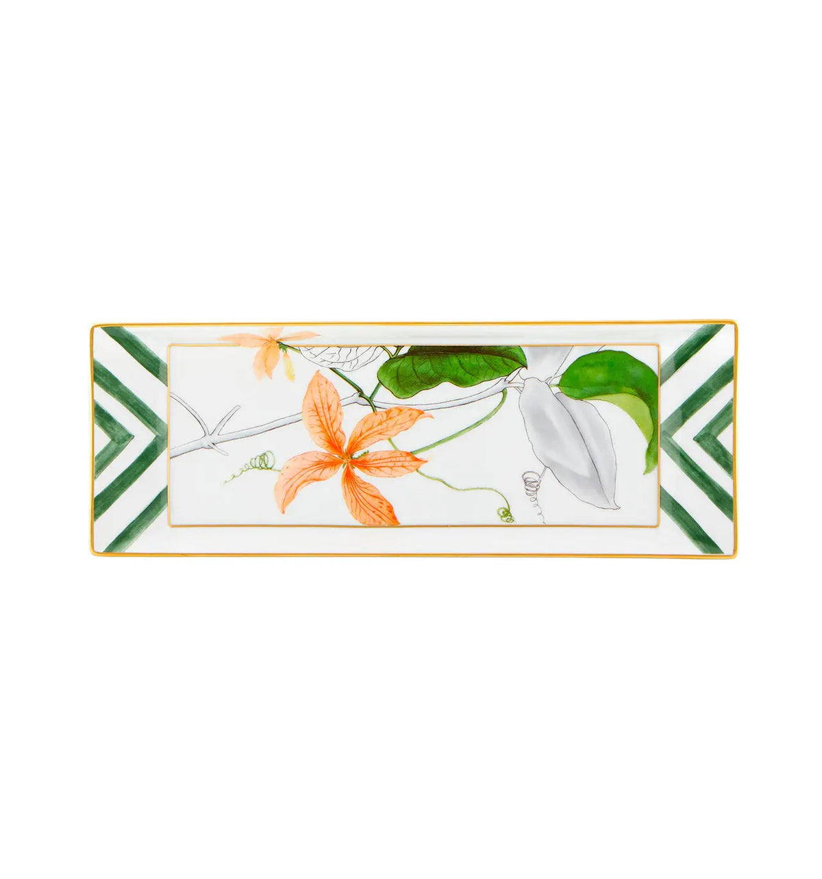 AMAZÅŒNIA Tray Vista Alegre