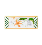 AMAZÅŒNIA Tray Vista Alegre