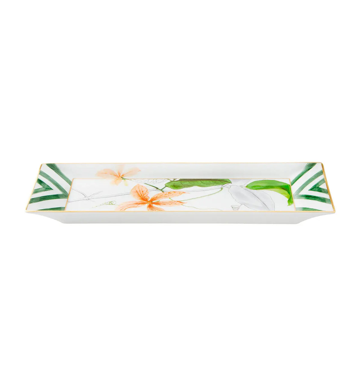 AMAZÅŒNIA Tray Vista Alegre
