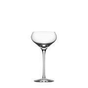 Zephyr Champagne Coupe Orrefors - Crystal House