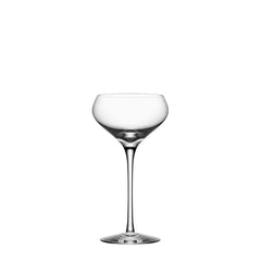 Zephyr Champagne Coupe Orrefors - Crystal House